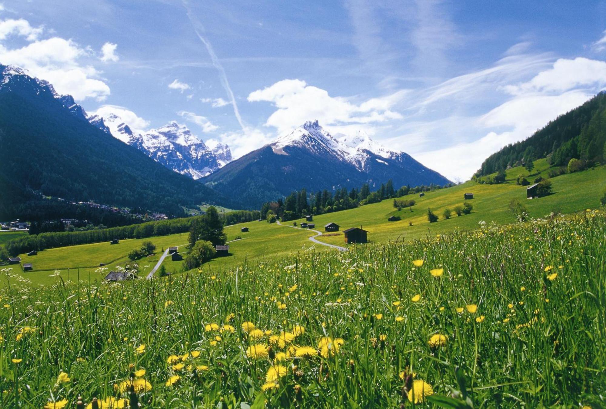 Haus Bergkranz Apartamento Neustift im Stubaital Exterior foto